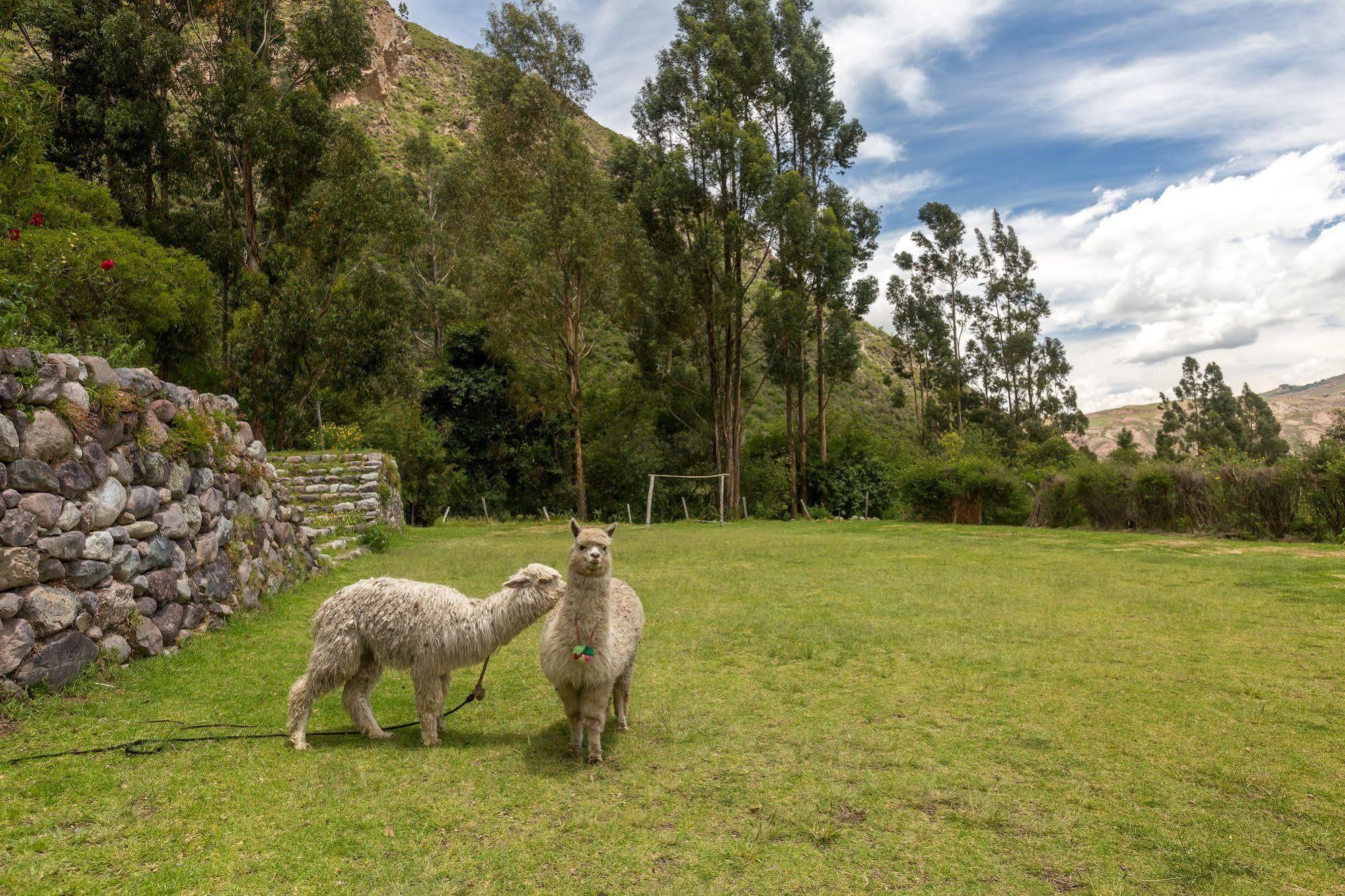 Hotel Hacienda Del Valle Urubamba Eksteriør billede